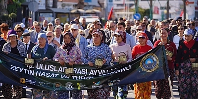 Ayvalık’ta zeytin kokusuna bu yıl müzik de eşlik edecek